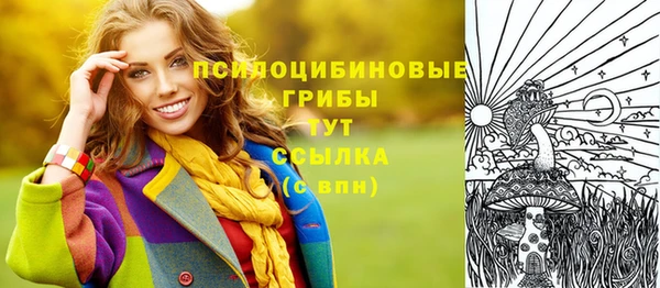 первитин Алексин