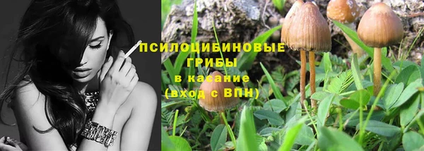 первитин Алексин